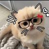 noenoe90342