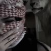 ae_2ir
