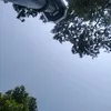 tochiyeumoicauthoi9