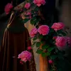 jafarjassim27