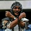 willie_wale_pirate