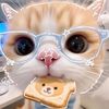 mayma_06