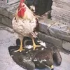 loaigg