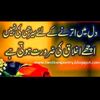 nabilali767