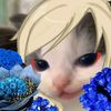 cat.gojo343