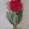 norr9351