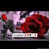 user811724223161