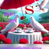 user191258514