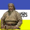 mohammadhossaini219