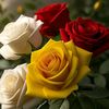 user5404270061029
