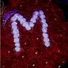 musmus_musi511