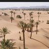 alsaher615