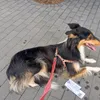 meryewery