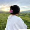 wrdila_gyan07