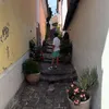 amentandras_abandy