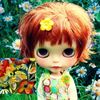 user5628168_nerii