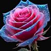 mdalauddin.laxsmi