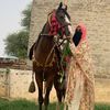 Taskeen🐴📚