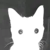 _kitty.cat.69_