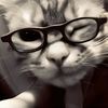 dr_pepper157