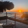 lamis_824