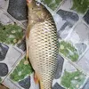acc.moi.nha.ae