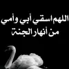 user40230319959254