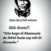 faya.samb5