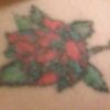 dianepauley8