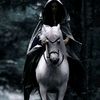 user7002179405345