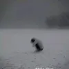 beiu_cte