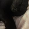 lily_09876543212