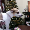 soytiago795