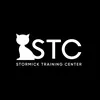 STC DANCE STUDIO