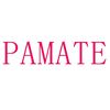 PAMATE 13
