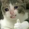 luandangbuon0