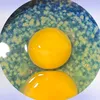 hongtham.com_rhycap