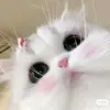 sayasiapayaaaaaaaa0