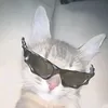 kaczoreq_mpk