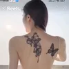 phuthanh2729