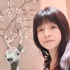 waijihai859gmail.com