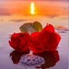 md.liton8599
