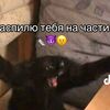 httpspin.nukmu096