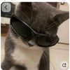 grace_1410