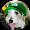 noomblox