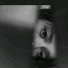ferdes060