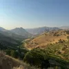 kurd_darin