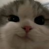 im19712