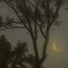 ☾⋆⁺𝒥ℴ𝒹𝓎✰🌒