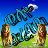 alia.saed1